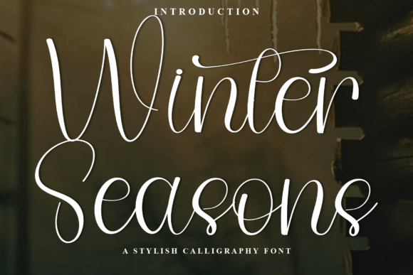 Winter Seasons: A Friendly Script Font for Small Business Branding